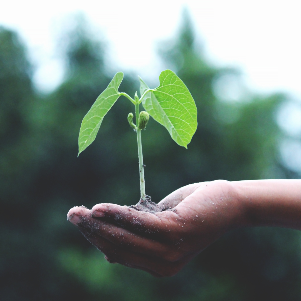 sustentabilidade